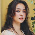 完结高清影视